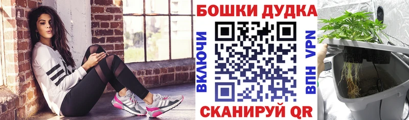 Шишки марихуана семена  Бавлы 